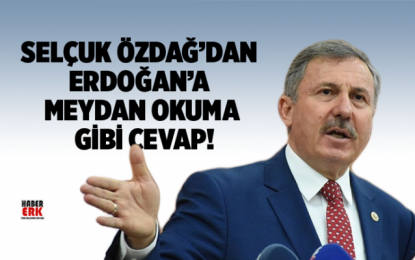 AK Parti’li eski vekil Selçuk Özdağ’dan, Erdoğan’a meydan okuma gibi cevap!