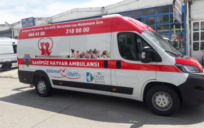 Başkan Hürriyet’ten sokaktaki dostlarımıza hayvan ambulansı