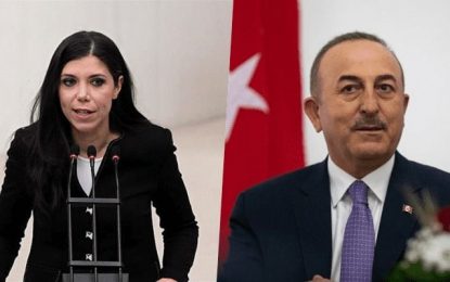 Eski AKP’li vekil Pelin Gündeş: Çavuşoğlu yolumu kesip hakaret etti