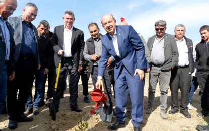 Cumhurbaşkanı Ersin Tatar, “Şampiyon Melekler Takımı” anısına düzenlenen ağaç dikimi etkinliğine katıldı