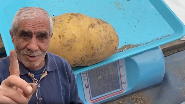 Patates de taneyle satılmaya başlandı! Avrupa yine bizi kıskanır mı?