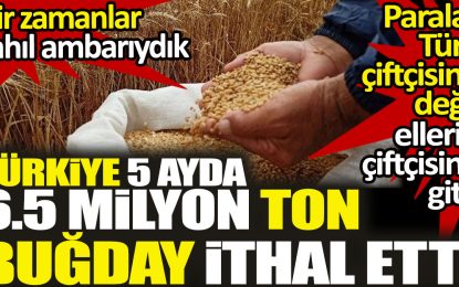 Türkiye 5 ayda 6.5 milyon ton buğday ithal etti. Bir zamanlar tahıl ambarıydık