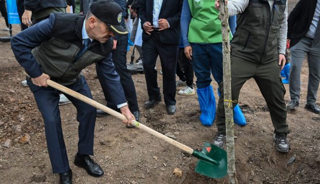 Kocaeli’de 65 Bin Fidan Toprakla Buluştu