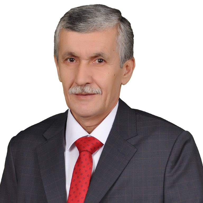şablon