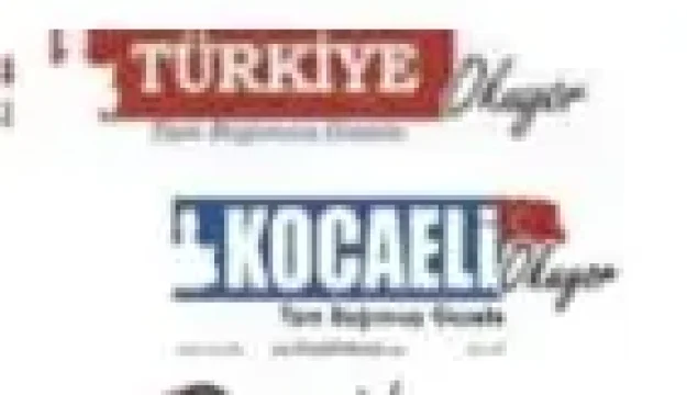 HOLLANDA’DA TURKISH PROFESSIONAL NETWORK (TÜRK PROFESYONELLER AĞI) DİKKAT ÇEKİYOR: DİREKSİYONDA YİNE KADINLAR VAR